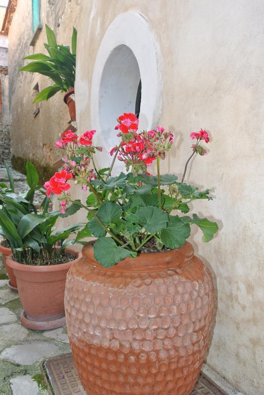 B&B Casa Antonia Trentinara エクステリア 写真