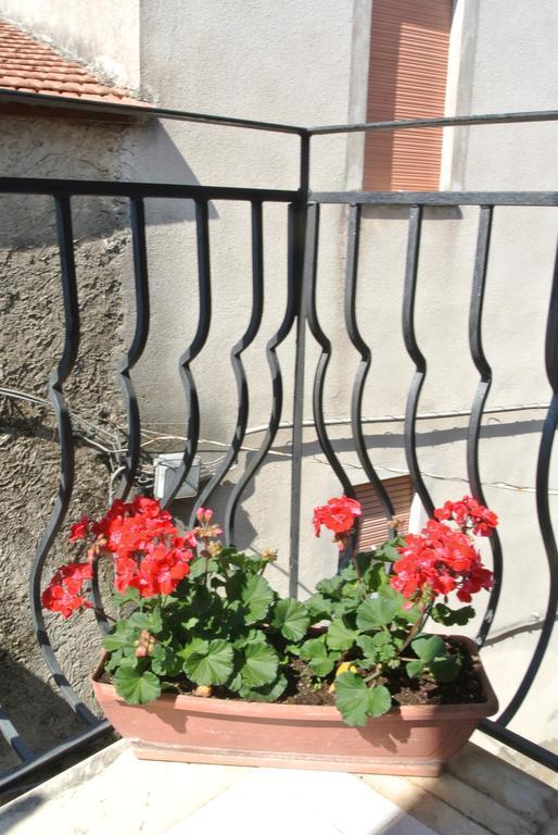 B&B Casa Antonia Trentinara エクステリア 写真