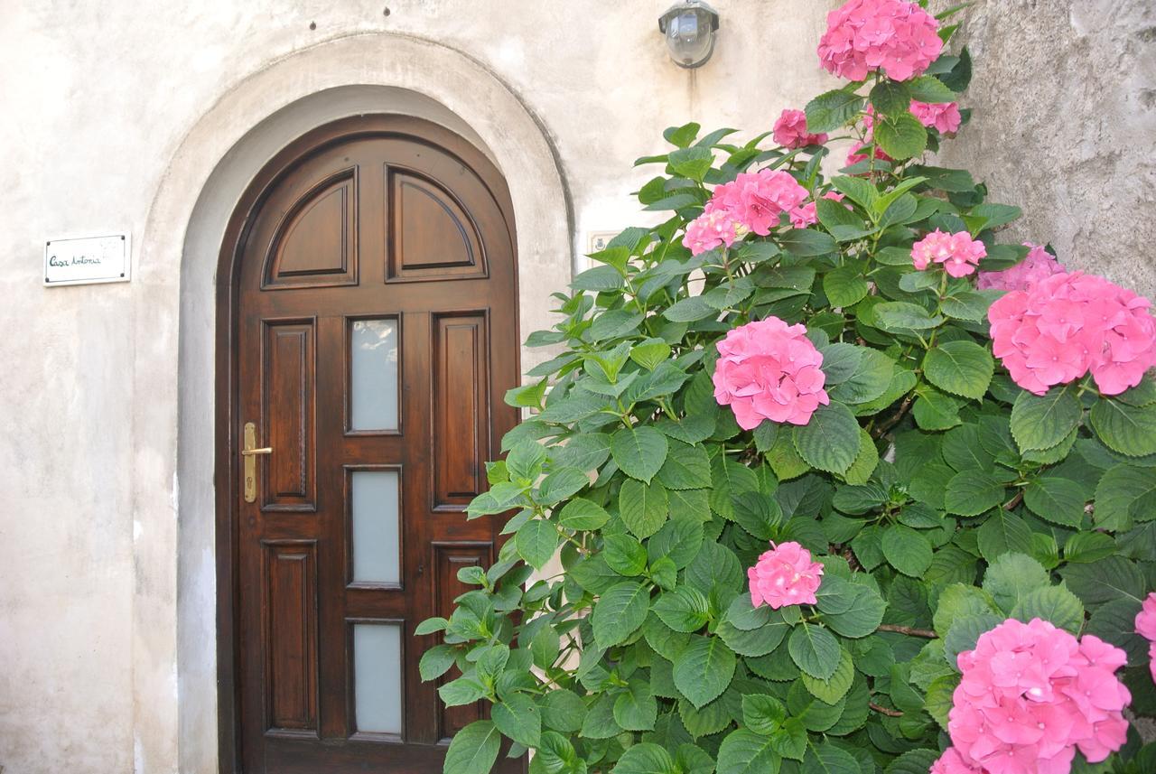 B&B Casa Antonia Trentinara エクステリア 写真